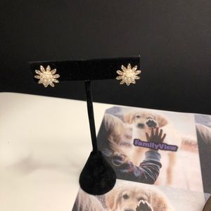 Earrings Women Jewelry